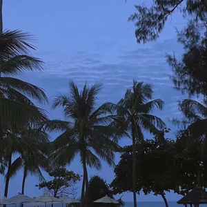 野外做爰三级在线播放
